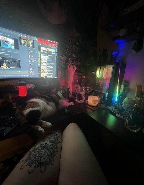 Kitty Titty top star pics