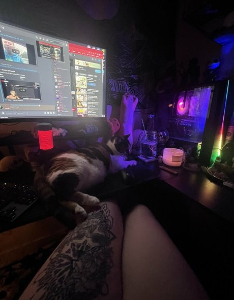 Kitty Titty perfect actress picture