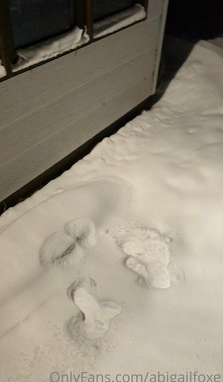 abigailfoxe star sex photo