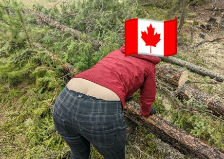 abigailfoxe erotic star galleries