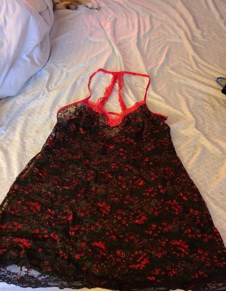 laurajaneuncensored star high quality galleries