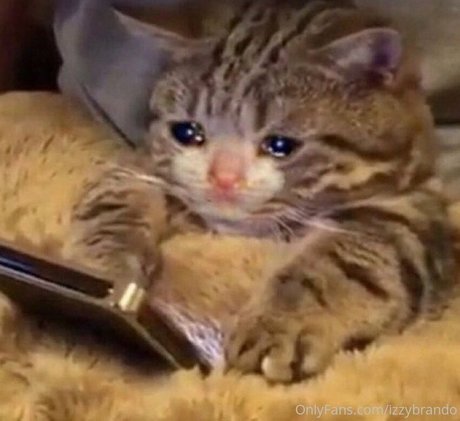 izzybrando model sex galleries