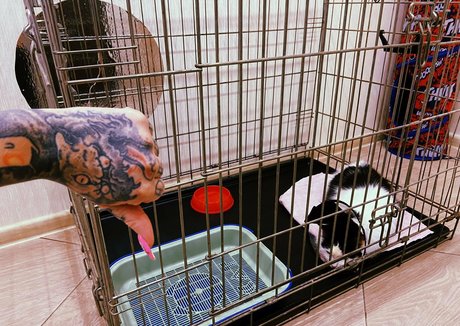 anal dildo onlyfans hot naked archive