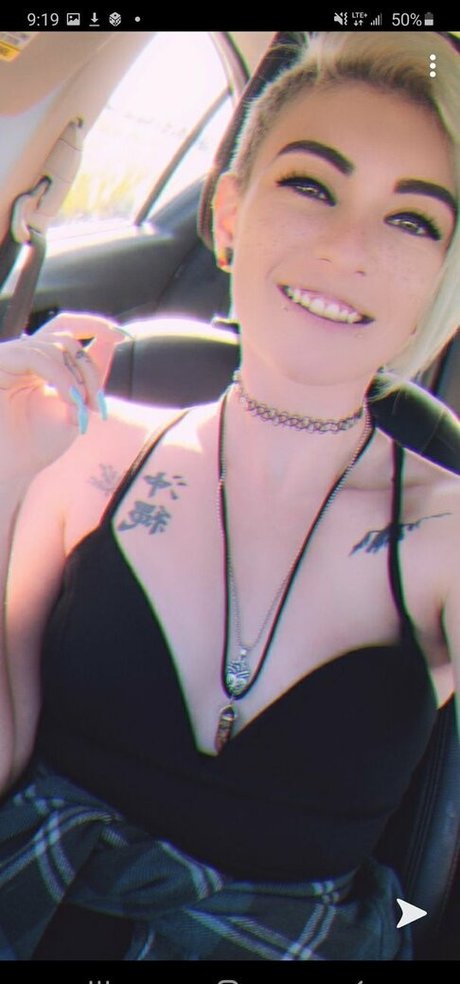 fcassibreee model top image