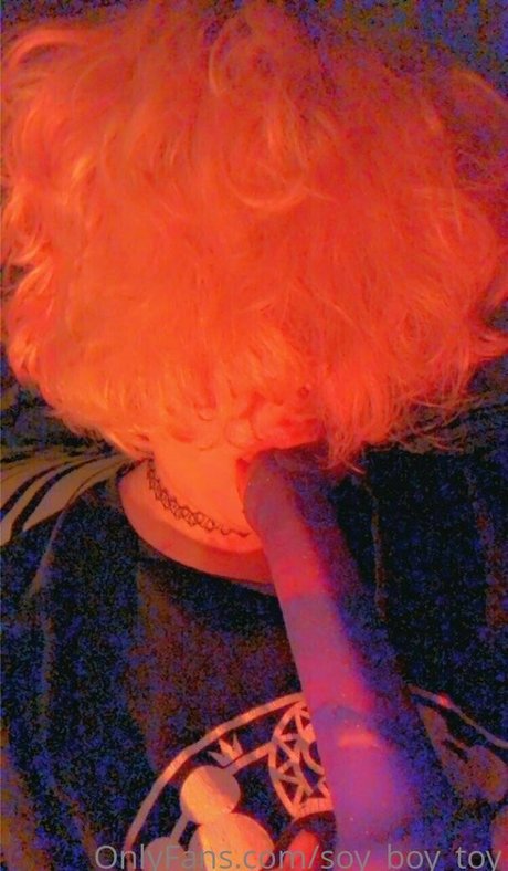 soy boy toy sex actress picture