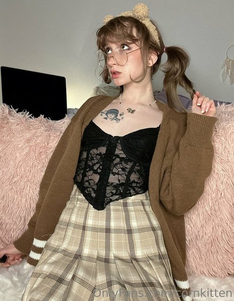 cornkitten freie top galerie