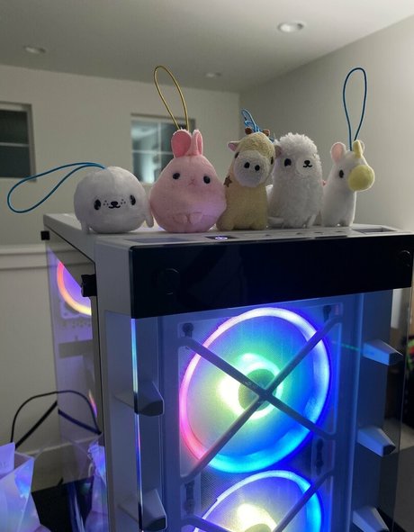 kitten kyra erotische schöne foto