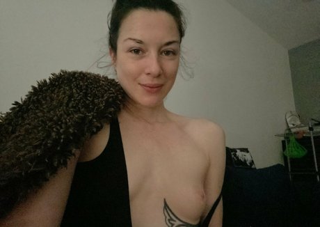 Stoya freie pornostar bild