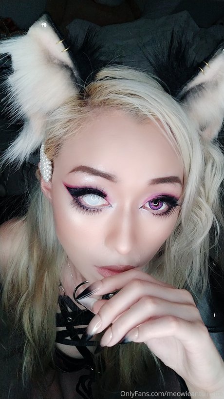 Meowieantoinette exklusive erwachsene galerie
