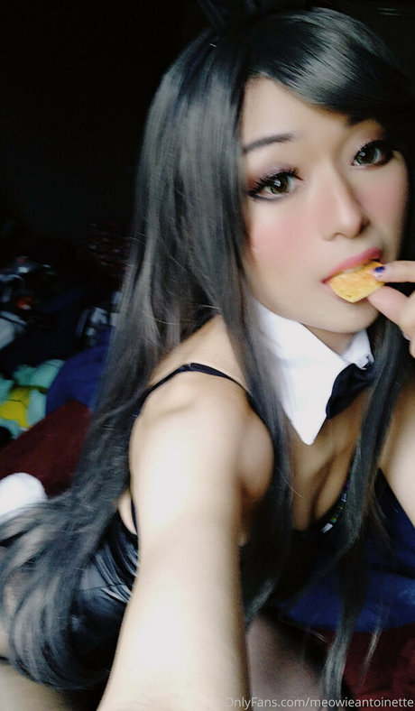 Meowieantoinette exklusive nette galerien