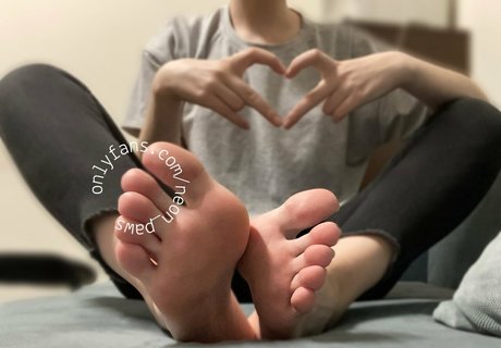 neon paws porno beste fotos