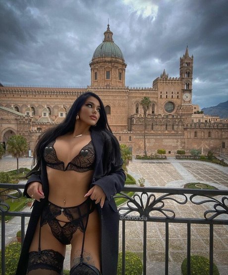 Catvondia schöne sex bilder