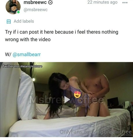 msbreewcfree erwachsene pornographische galerie