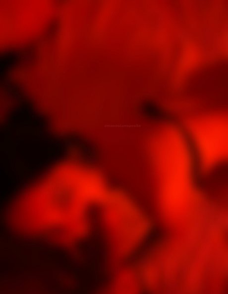 Manoela Sposito schöne beste galerien