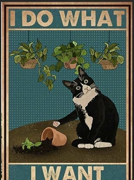 lovesickfordick schöne hübsche bilder