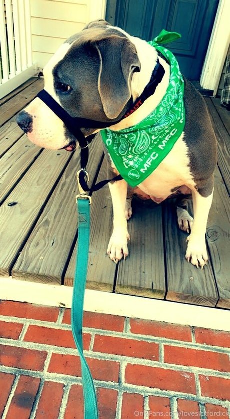 lovesickfordick nacktheit xxx fotos