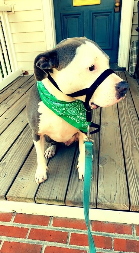 lovesickfordick erotische nacktheit galerien