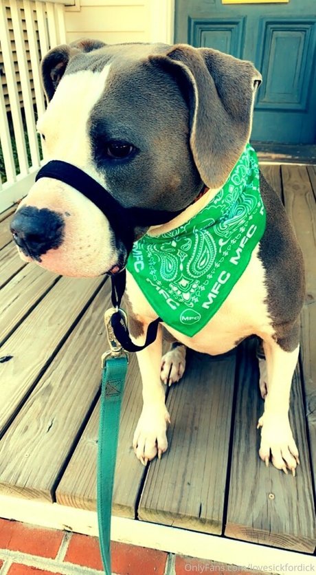 lovesickfordick erwachsene nette archiv