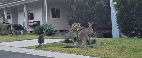 tammycheeks nackt heiße bilder