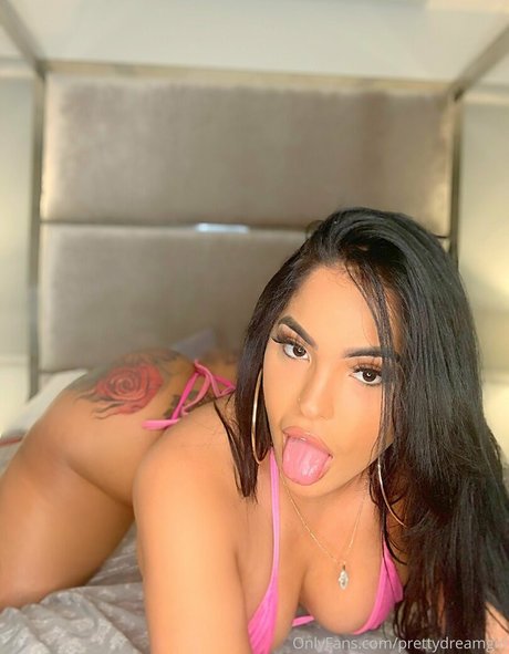 prettydreamgirl kunst akt galerien