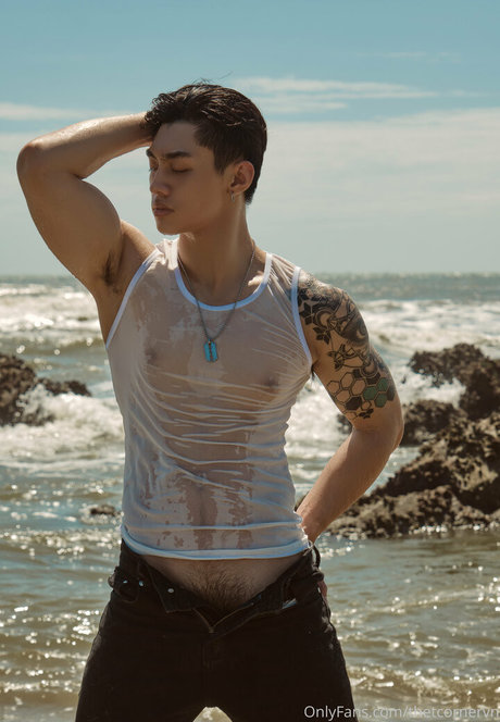 thetcornervn perfekte kostenlose bilder