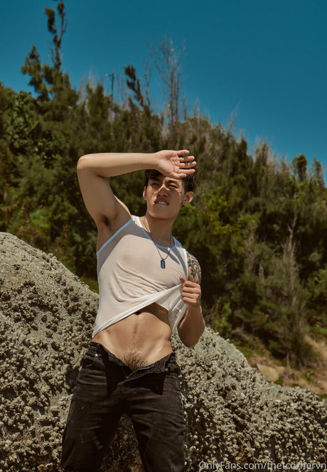 thetcornervn porno pornostar galerien