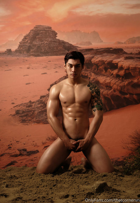 thetcornervn beste akt bilder