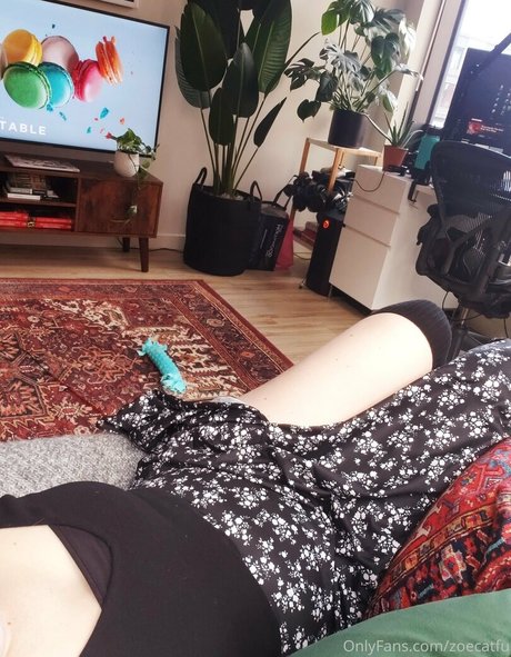 catscosplays heiße sexy galerie