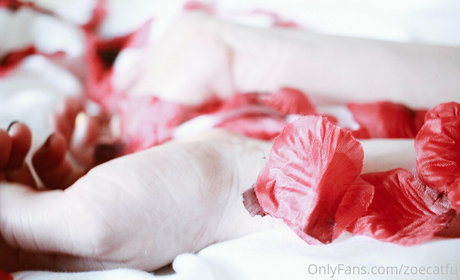 catscosplays pornostar perfekte archiv