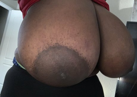 poetrystudios2020 exklusive kunst galerien