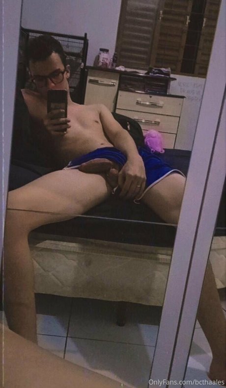 bcthaales model akt archiv