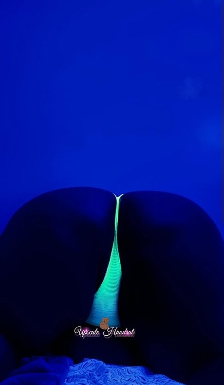 upscalehoodrat2 kunst schöne galerien