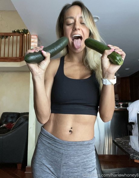 harlowhoney8 Profilbild