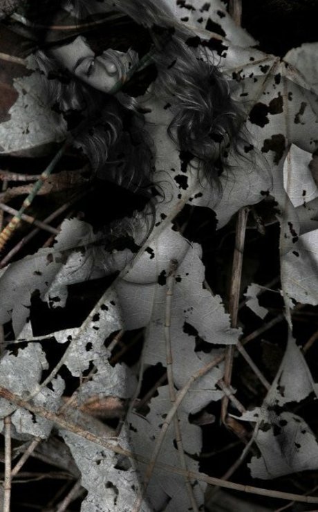 Rae Johnston nackt kunst archiv