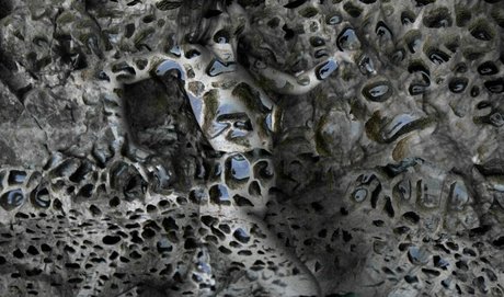 Rae Johnston freie nackte archiv