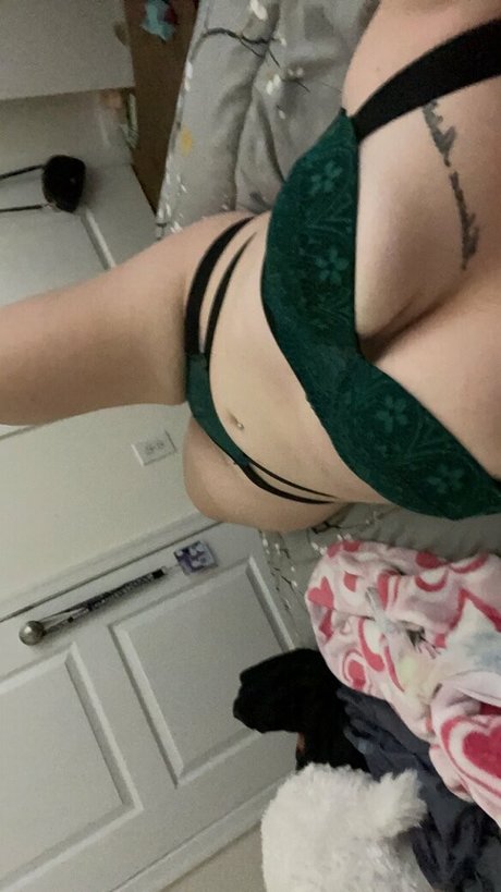 butterflylovebug top perfekte foto