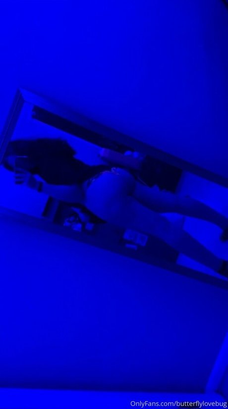 butterflylovebug hd nette galerie