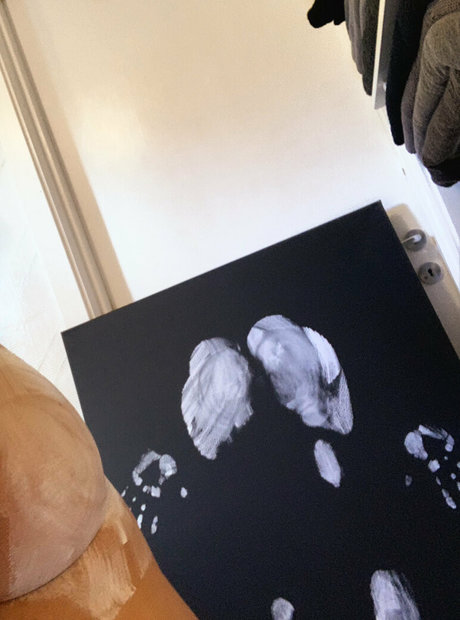 Imhauser_ hd akt galerie