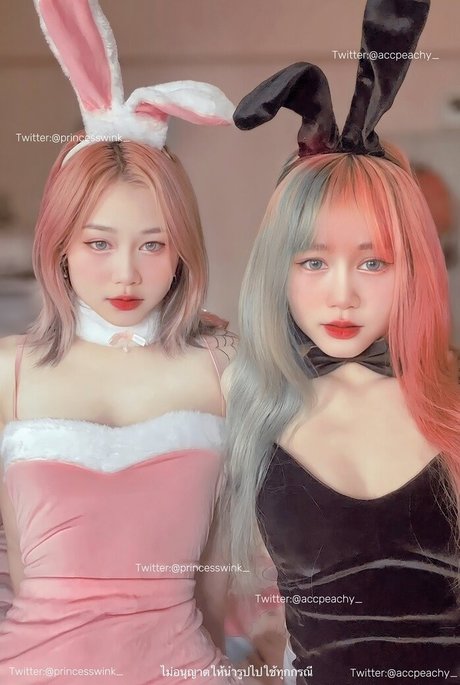 Princesswinkonly erwachsene hd galerien