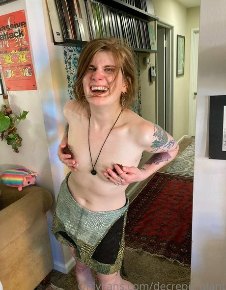 Decrepit plant schöne hübsche bilder