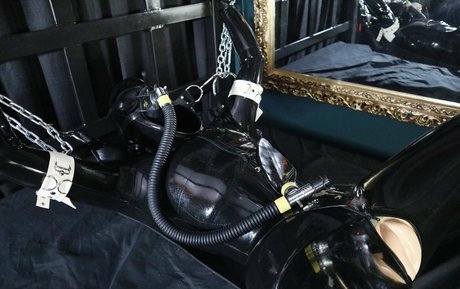 dollified sexy top galerie