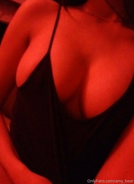 amy bear schöne hd bilder