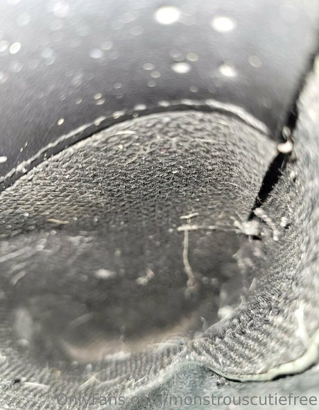 monstrouscutiefree schöne foto