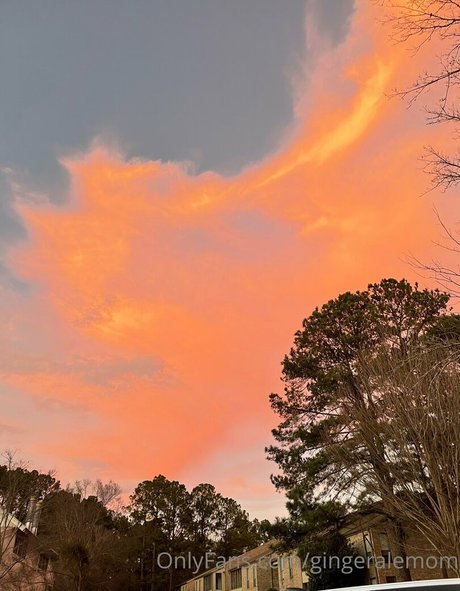 gingeralemom freie sex archiv