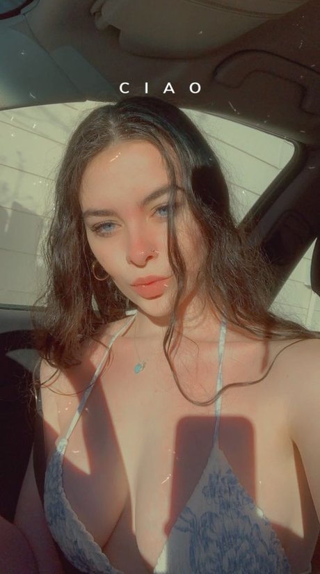 Nellie Edens kunst hd galerie