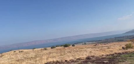 twinsblonde sexy freie bild