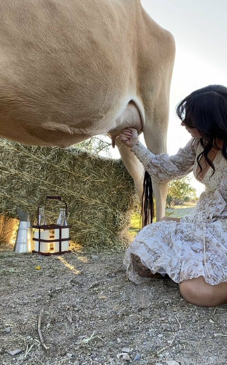 asiatischer dreier onlyfans schöne nackte archiv