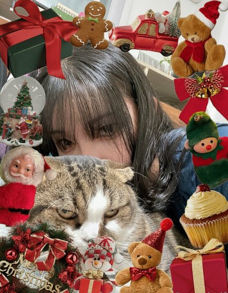 anad df kostenlose exklusive bild