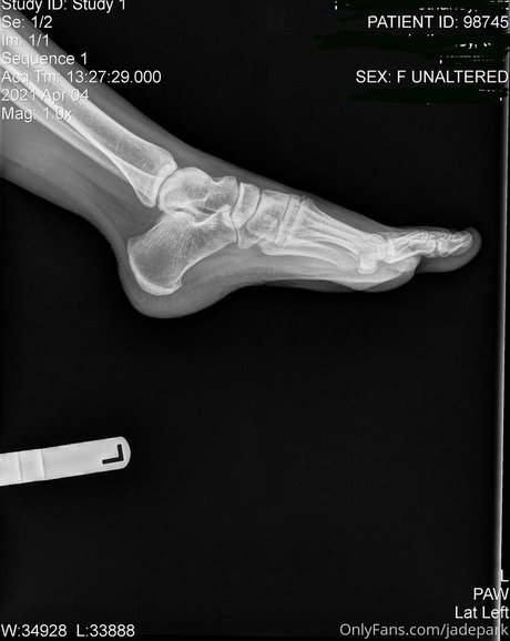 persephone27x schauspielerin freie galerien