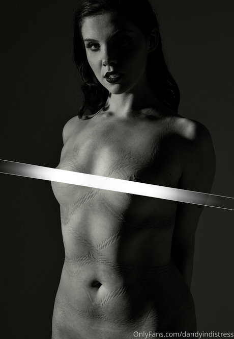 dandyindistress porno schöne galerie